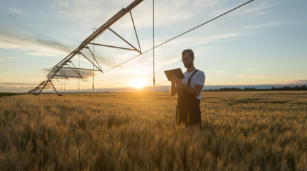 Météo connectée : quel rôle dans la prise de décision agricole ?