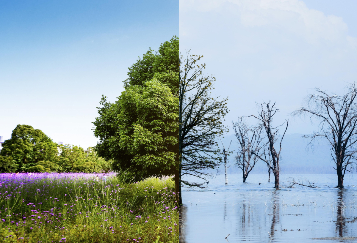changement climatique