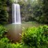 fabriquer piscine naturelle